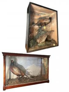 Par de vitrines decorativas em vidro
